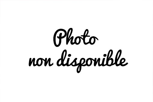 FARINE NON BLANCHIE SAC